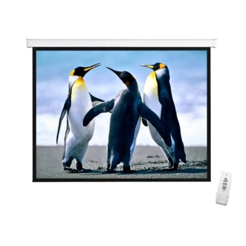 Anchor ANMS135HD 135" Diagonal Electrical Projector Screen