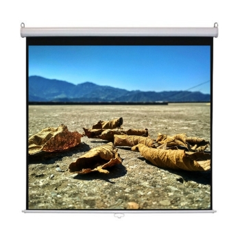  iView 200 x 153 cm 100 Inch Diagonal  Aspect Ratio 4:3 Manual Projector Screen